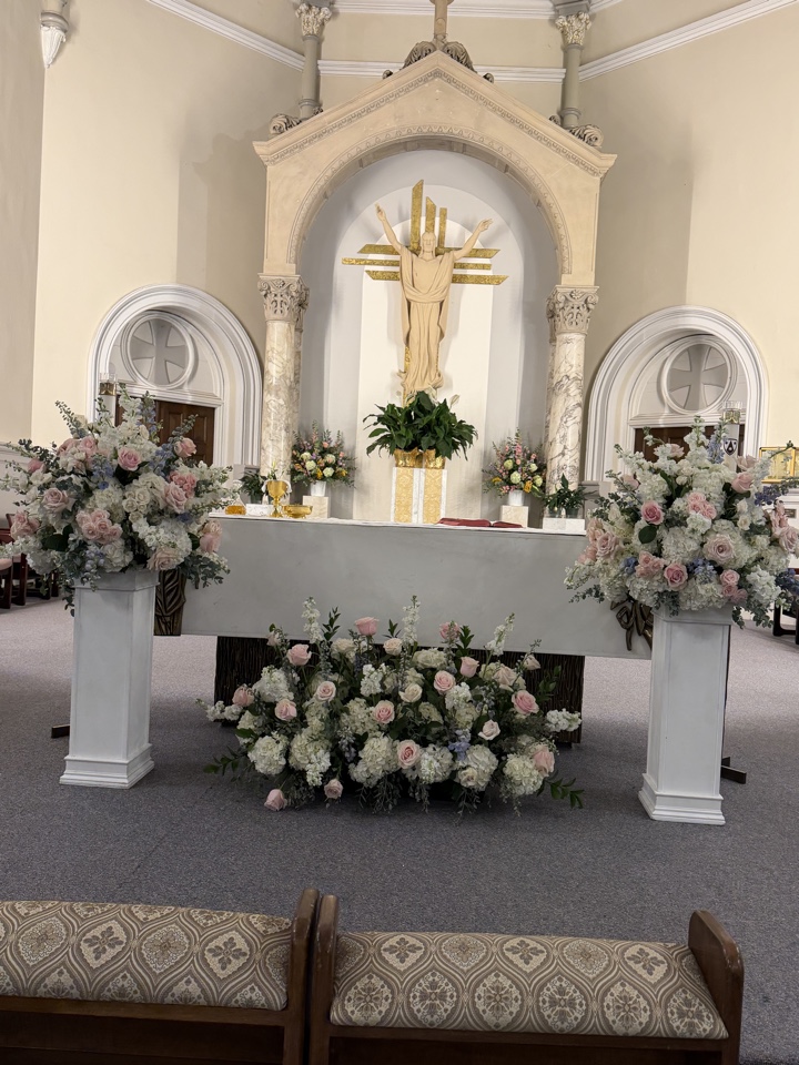 Church altar dressed with blush rose and blue delphinium pedestal arrangements